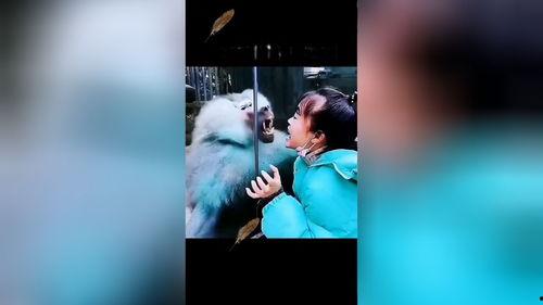 冰摔倒搞笑视频,摔倒瞬间，笑料百出！